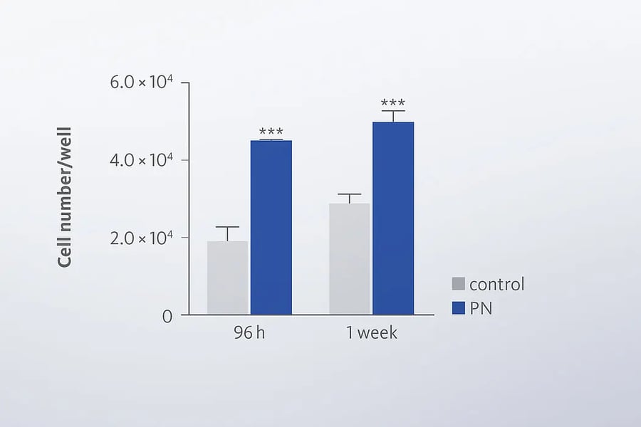 csm_Regenfast_EN_4_b6cee2e4cc